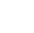CRMIcon